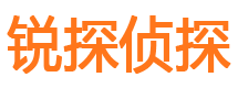 东源市调查公司